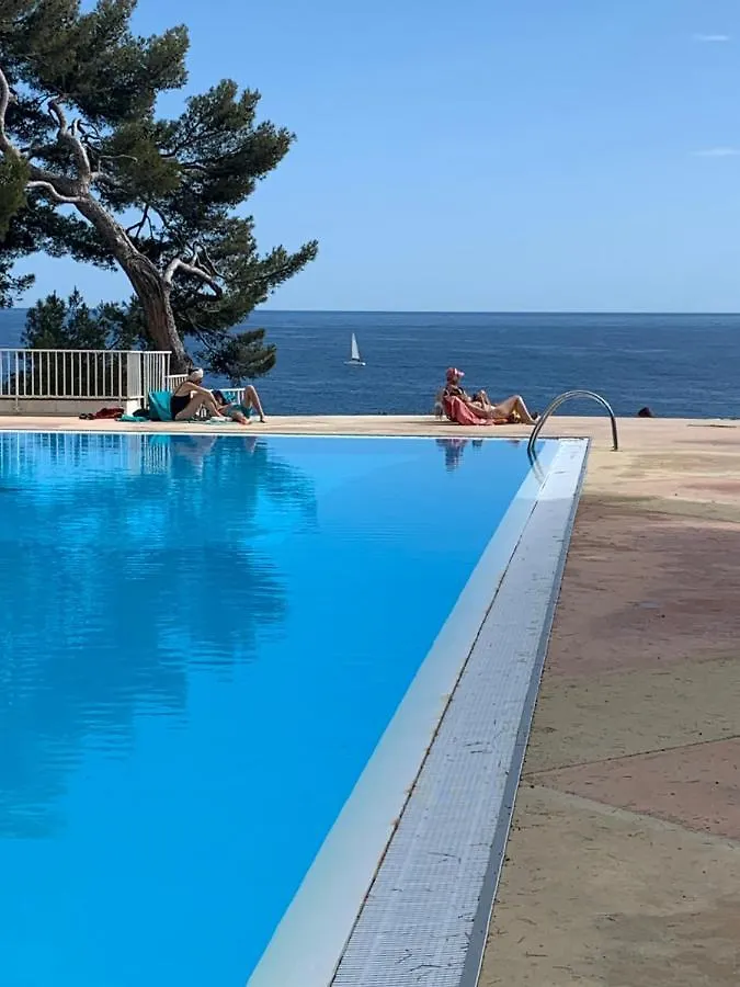 Apartment Horizon Bleu Bandol : Appartement Pieds Dans L'Eau France